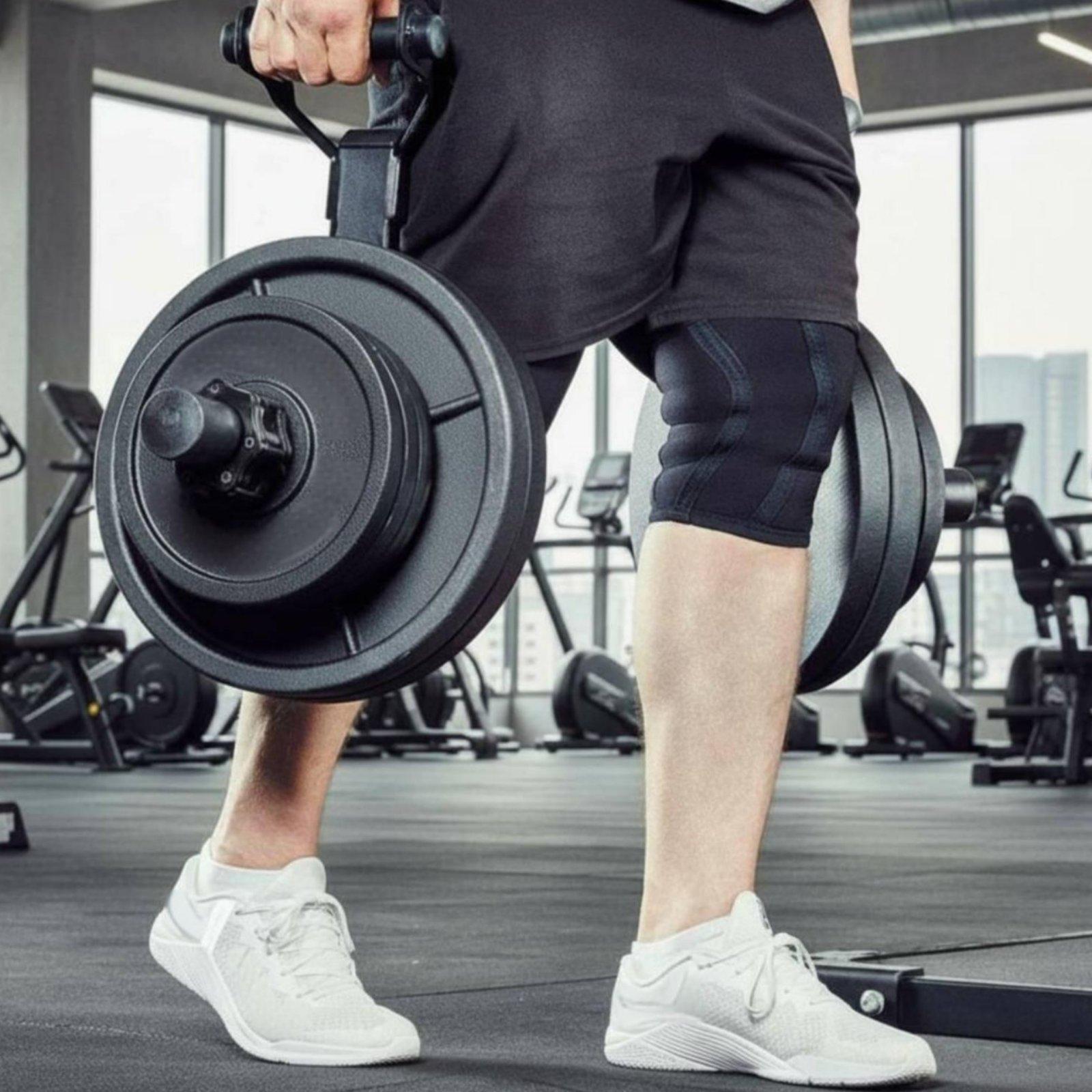 多サイズ対応バーベルプレートホルダーオーガナイザーラック、家 - Home Gym Usa のレビューと価格
