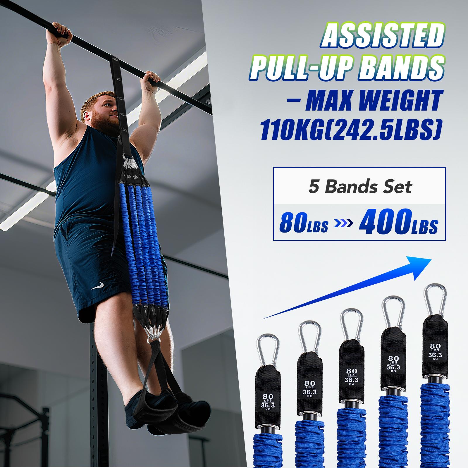 ヘビーデューティー懸垂補助バンドセット 4x80ポンド 調節 - Home Gym Options のレビューと価格