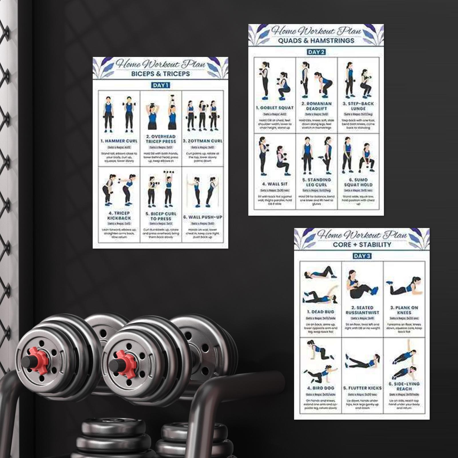 6個入り ヨガダンベル ストレッチ ワークアウトポスター ワ - Home Gym Dumbbell Workout のレビューと価格